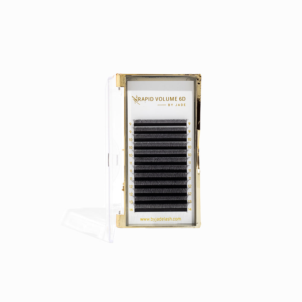 Cils Individuels Diamond Silk Volume Russe 3D-6D - Soie Premium Noir